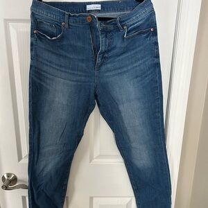 LOFT Classic Indigo Jeans